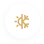 抗嚴(yán)寒
